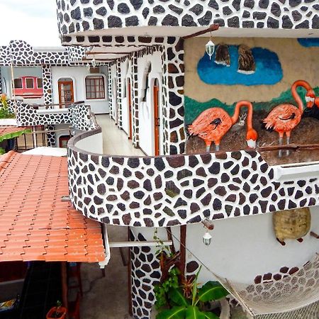 Hotel Coloma Galapagos Puerto Ayora  Zewnętrze zdjęcie