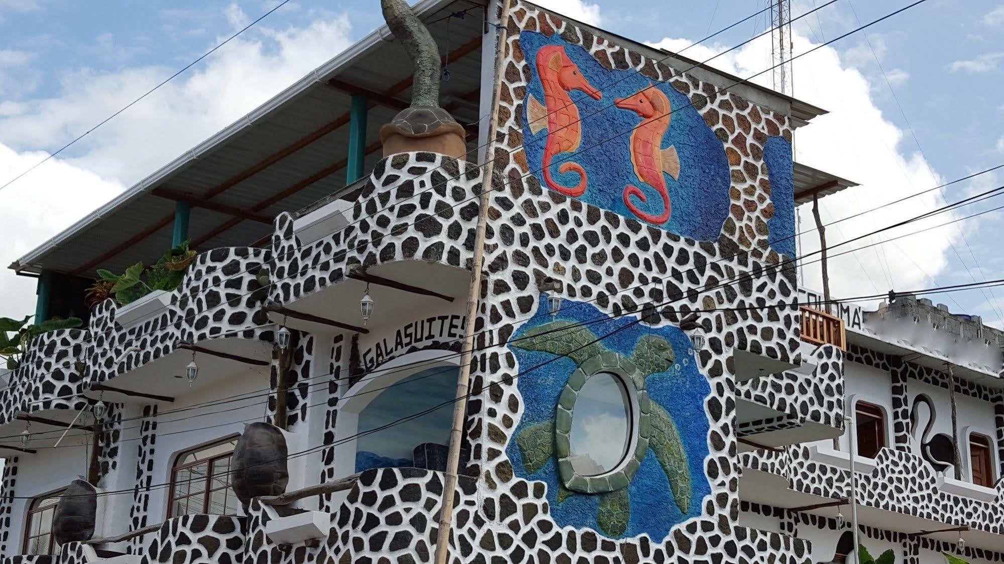 Hotel Coloma Galapagos Puerto Ayora  Zewnętrze zdjęcie